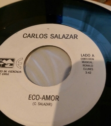 Vinilo