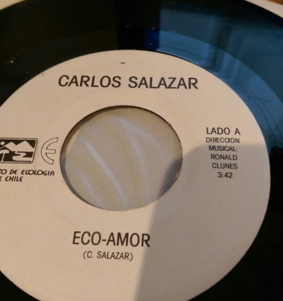 Vinilos